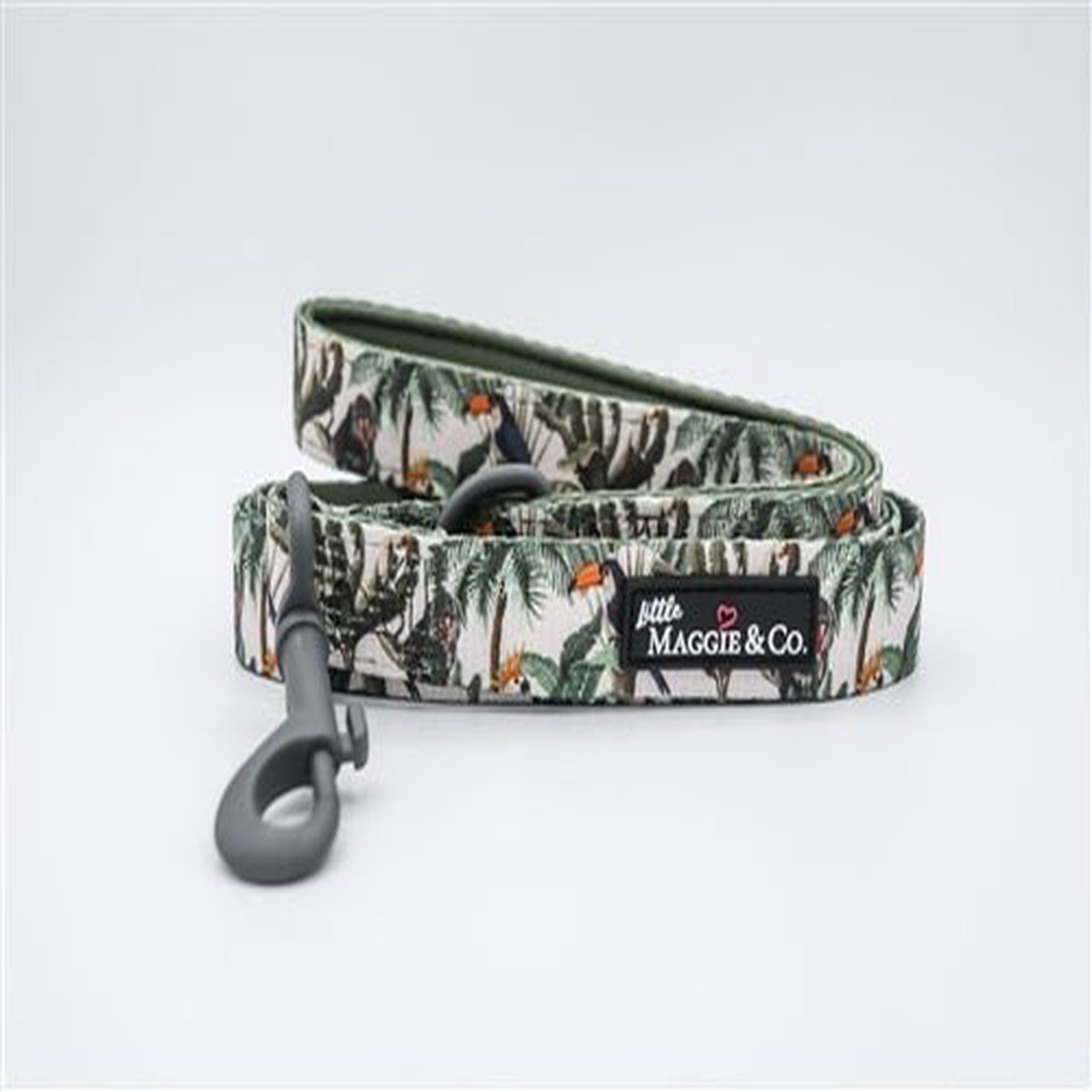 into-the-wild-leash