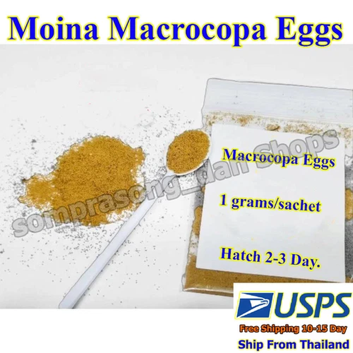 moina-macrocopa-eggs-1-gram-live-feed-hatch-2-3-days-best-for-aquarium-fry