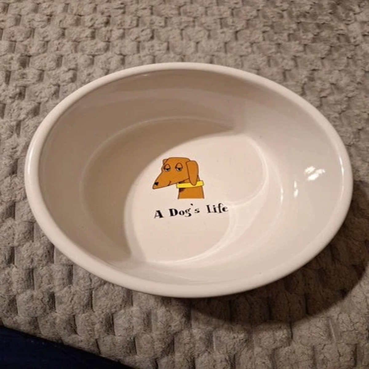 ursula-dodge-a-dog-s-life-food-water-pet-bowl-dish-signature-stoneware-6-d